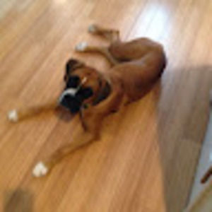 Meet your Posher, Sandi